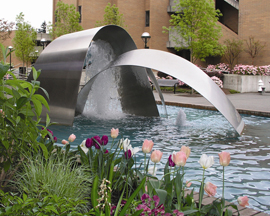 fountain-tulips.jpg