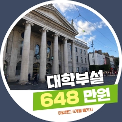 아일랜드대학부설 6개...