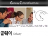 GCI-Galway Cultural I...